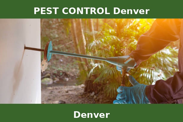 PEST CONTROL Denver